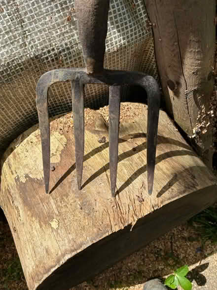 Photo of Wide blades digging fork (BH21) #1