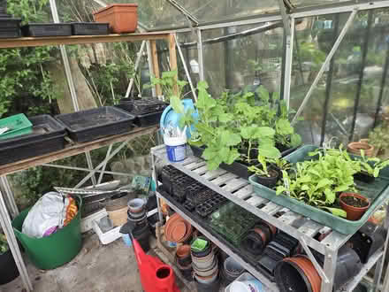 Photo of free Aluminium Greenhouse 7’x7’ (Heaton Moor, Stockport SK4) #1