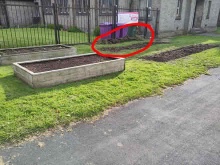 Photo of free Lifted turf (Allerton L19) #2