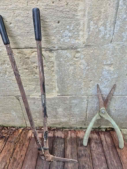 Photo of free Gardening tools (Bear Flat BA2) #1