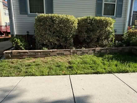 Photo of free concrete blocks for garden beds (Alexandria) #2