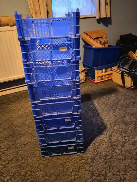 Photo of free Stackable plastic crates/trays (Homerton E9) #1