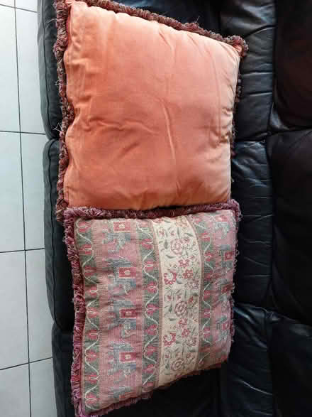 Photo of free 2 Embroided Cushions (BT11) #3