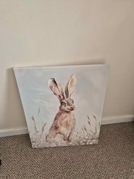 Photo of free Canvas pictures (Drayton PO6) #4