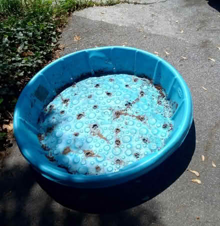 Photo of free Two Kiddie Pools (Town of LaGrange) #2