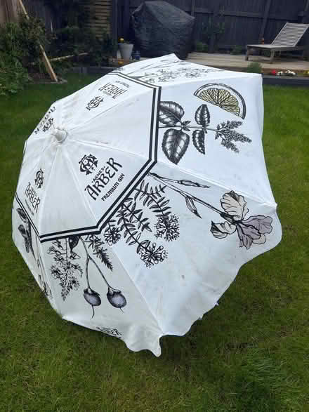 Photo of free Agnes arber parasol (HD4) #1