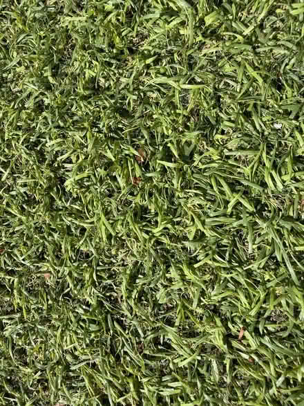 Photo of free Artificial grass x 3 sections (The Lakes ME20) #4