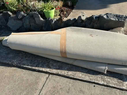 Photo of free Carpet (Fremont) #1