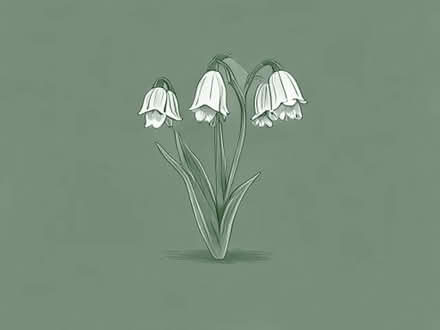 Photo of free Bluebell Bulbs (Cheney Manor SN2) #1