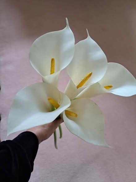 Photo of free Plastic lilies (Parnwell PE6) #1