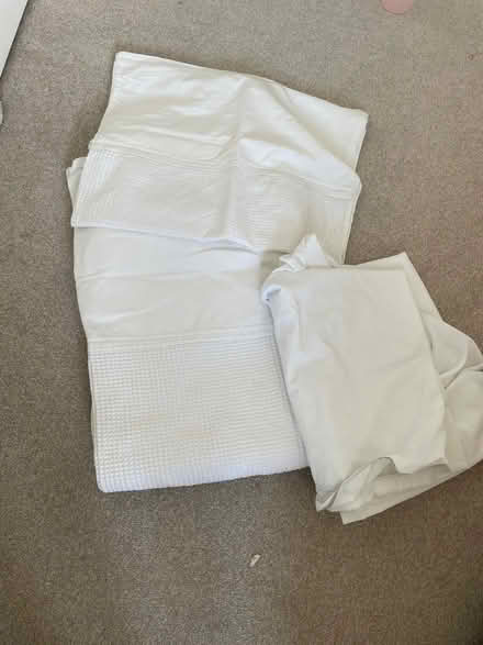 Photo of free Single Bed (Gosfield CO9) #3