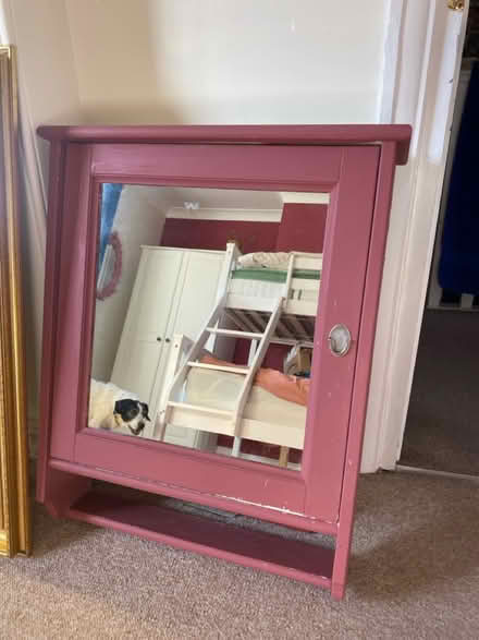 Photo of free Mirrored bathroom cabinet (Torquay TQ2) #2