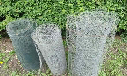 Photo of free Chicken Wire/Mesh (Winfarthing) #2