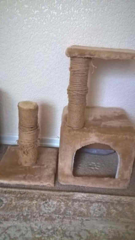 Photo of free Cat play station (Clayton West HD8) #1