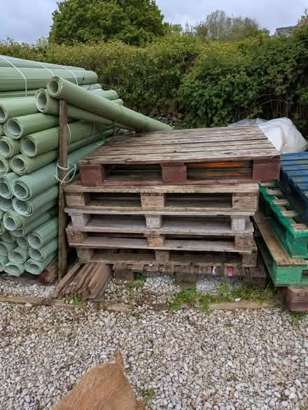 Photo of free Pallets (Parsley Hay SK17) #1