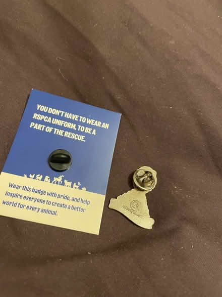 Photo of free pins (Wandsworth SW18) #2