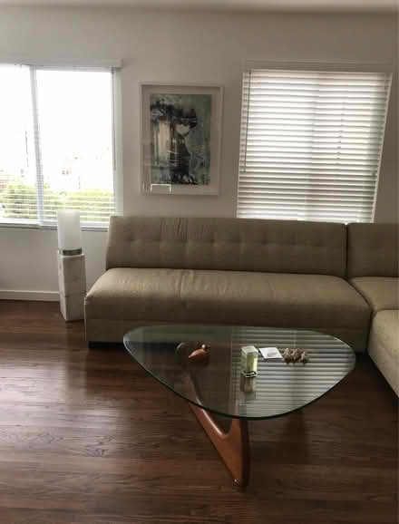 Photo of free Modern Sectional Couch (Pedro Point Pacifica) #1