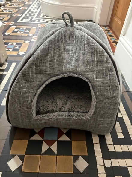 Photo of free Cat tree & cat igloo (Trehafod CF37) #2