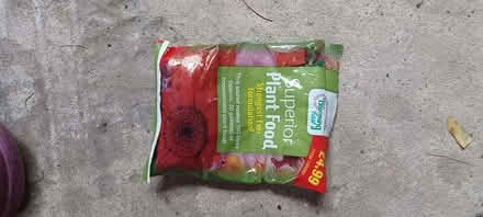 Photo of free Plant food (Longden SY5) #1