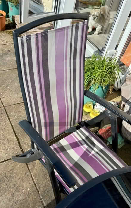 Photo of free Large Garden Set (Parkgate, CH64) #2