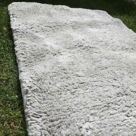 Photo of free Small Deep Pile Mat (Rayleigh SS6) #4