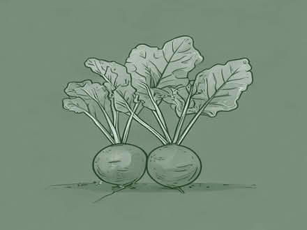 Photo of Vegetable plants wanted, and beetroot seedlings (Rainham Mark ME8) #1