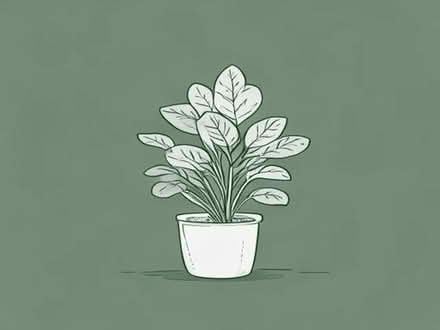 Photo of Large House Plant (Cam GL11) #1
