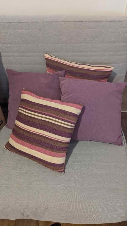 Photo of free Sofa pillows (CR0) #1