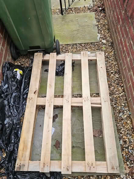 Photo of free One wooden pallet (Lee SE12) #1