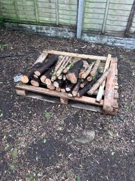 Photo of free Chopped tree wood (B91 Monkspath) #1