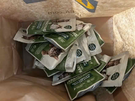 Photo of free Cat food (Bear flat) #2