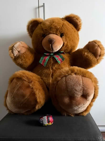 Photo of free Large brown teddy (Abbey Wood SE2) #1