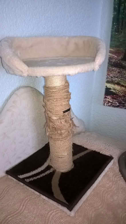 Photo of free yet another scratch post (Clayton West HD8) #1