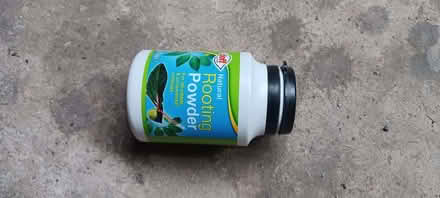 Photo of free Rooting powder (Longden SY5) #1
