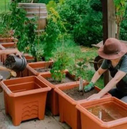 Photo of Large plastic containers for shrubs (Dublin central) #1