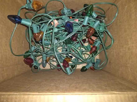 Photo of free Christmas lights (Brunswick Hills Township) #4