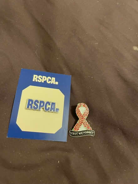 Photo of free pins (Wandsworth SW18) #1