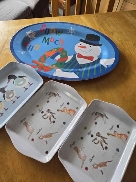 Photo of free Trays (Southend on sea SS2) #1