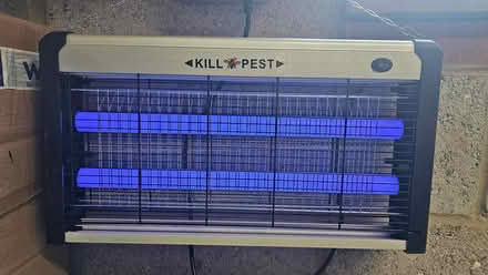 Photo of free Bluebell light Fly killer? (Wigmore, Gillingham) #1
