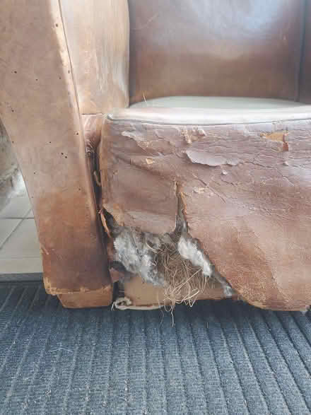 Photo of free Vintage Leather Armchair (Garsington OX44) #3