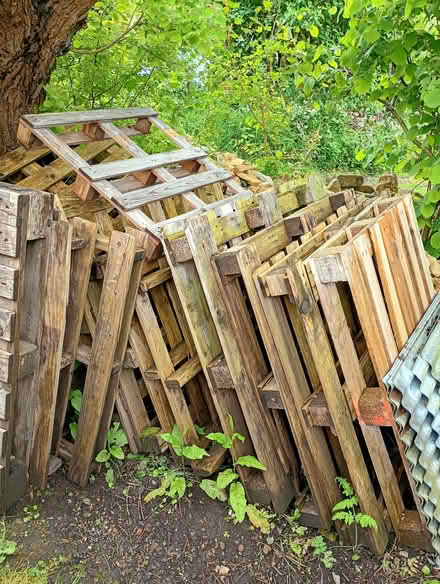 Photo of free Shipping pallets (Eastcombe GL6) #1