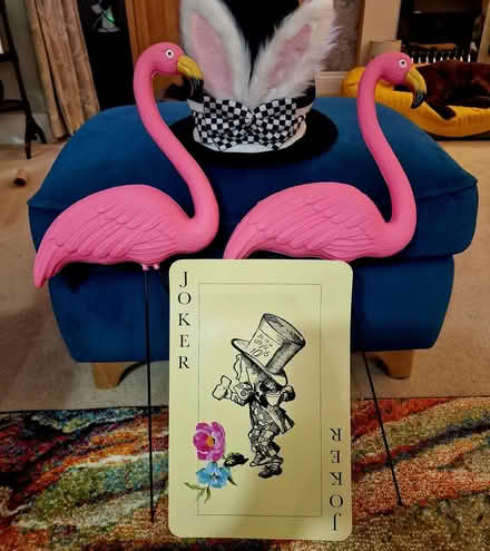 Photo of free Alice in Wonderland items (Broadbridge Heath, RH12) #4