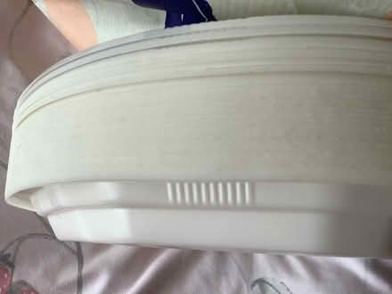 Photo of free Plastic Dinner Plates (DA1) #2