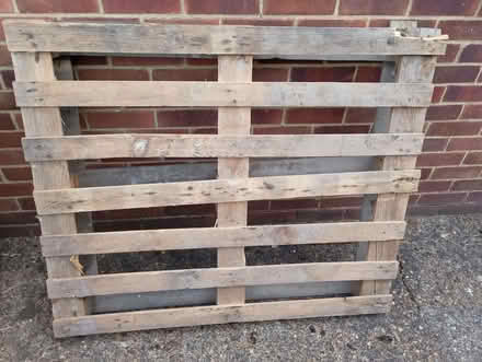 Photo of free Pallet (Woodley RG5) #1