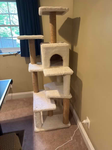 Photo of free Cat Tower (Finksburg) #1