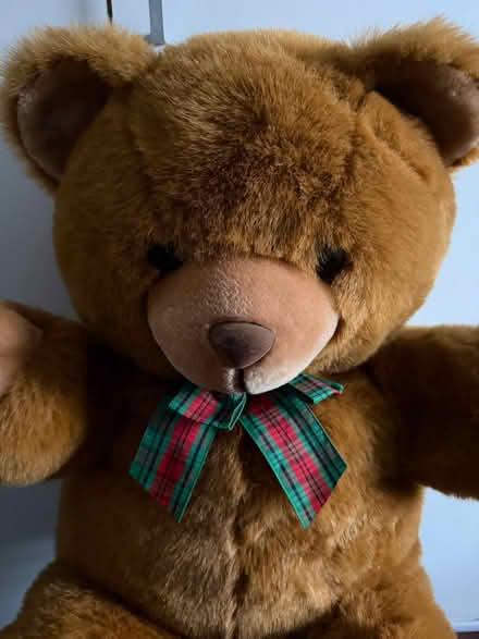 Photo of free Large brown teddy (Abbey Wood SE2) #3
