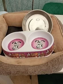 Photo of free Small/medium dog bed & dog bowls (Pinehurst SN25) #1