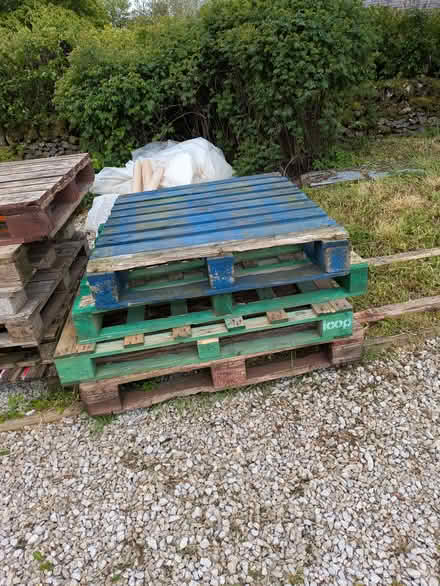 Photo of free Pallets (Parsley Hay SK17) #2