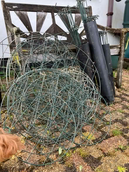Photo of free Plant supports (Laneast PL15) #1