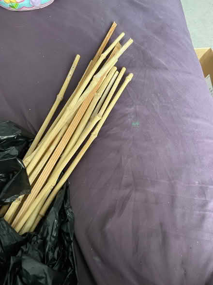 Photo of free M/L garden sticks (Wandsworth SW18) #1